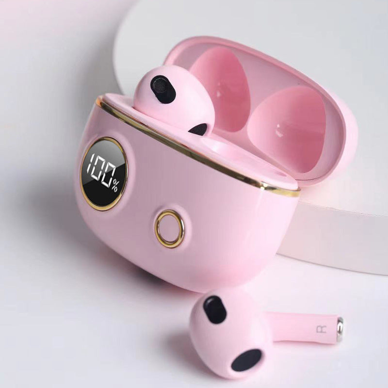 Fancy High Definition Earbuds
