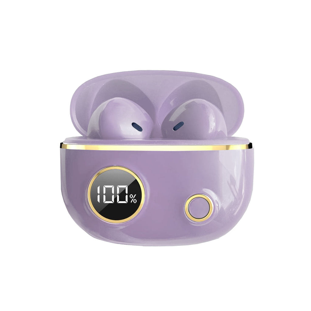 Fancy High Definition Earbuds